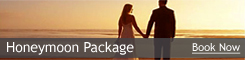 Honeymoon Packages