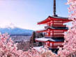 Pearls of Japan