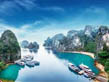 Vietnam Delight
